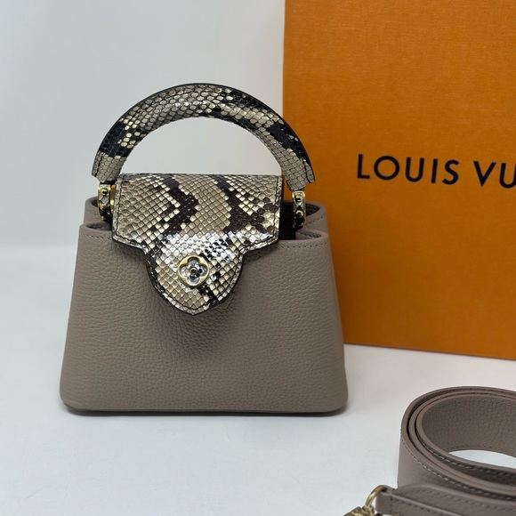 Louis Vuitton Exotic Capucine Mini Phyton Snake Leather New - Picture 5 of 13